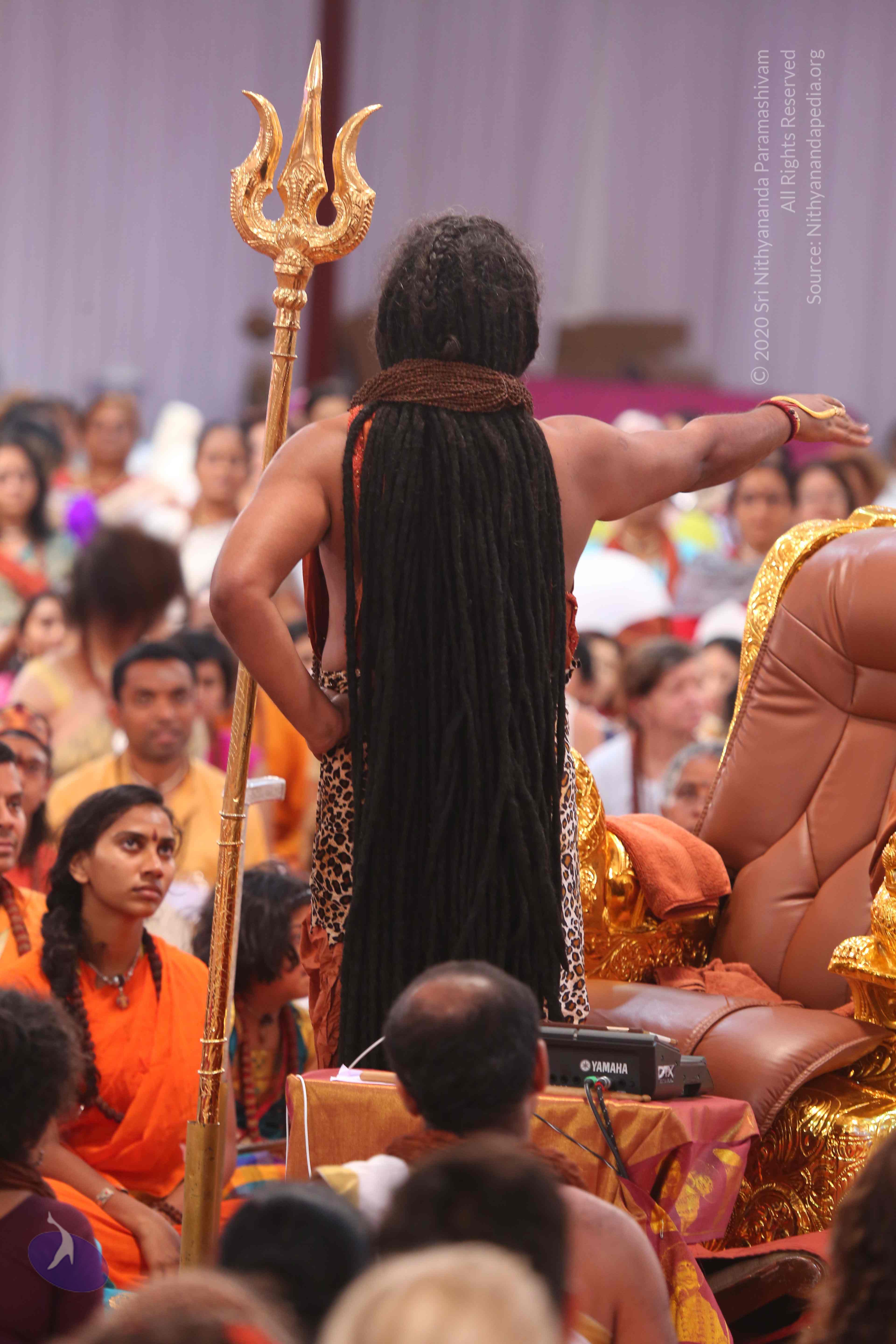 20161204_Photo_1191_IMGL5528_CMP_WM